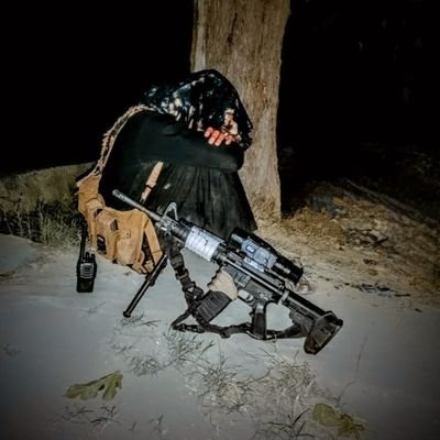 sohyb72203's profile picture. 