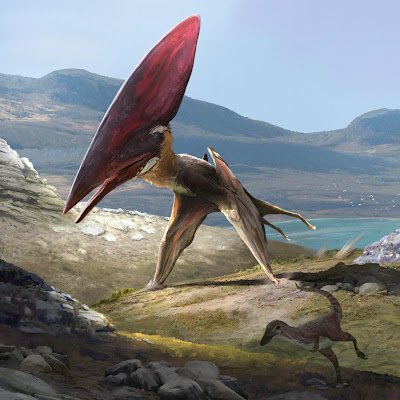 AQUILOPTER75327's profile picture. 