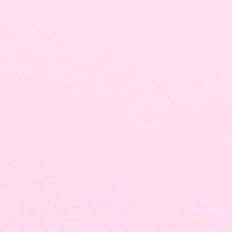 chiarafnn's profile picture. 