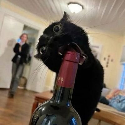 batjceer's profile picture. living for the hope of it all