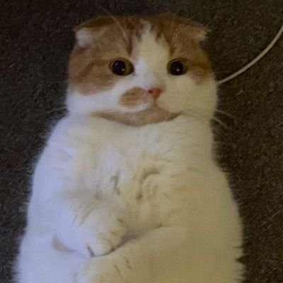 reddwatercolor's profile picture. 𝑲𝒂𝒐𝑱𝒂𝒏𝒆𝑱𝒂𝒏𝒆𝑲𝒂𝒐 𝟗𝟕𝟕𝟗 ︵ᡣ𐭩⋆｡˚