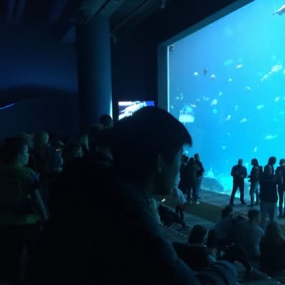 JeremiahLee0110's profile picture. Writer for BlackhawkUp