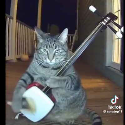 SpaceWoot's profile picture. 🇨🇦GenXDad

AlergicToBullsh!t,X=Cure
TruthOverTribe=C.Liberalism

Woke=AntiCivilizationalTrash 
Trans=RealityAssaultingChildAbuse 

TellYourCat:PspspsForMe😼