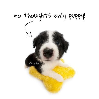 RomanticQuietly's profile picture. 22 yo, loves vns 
he/him
A yeen's scratching post