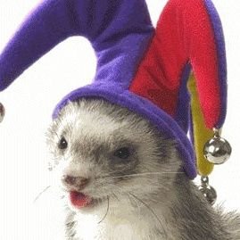 huron_bufon's profile picture. q onda