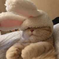 Amparo26912's profile picture. 06 暇ーー
ｻﾌﾞ→ @PotterZalm39975