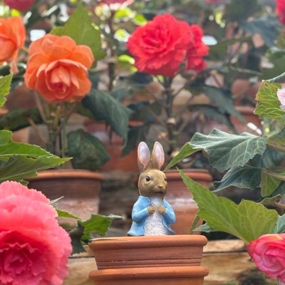 Fujiha_saki_M's profile picture. ゲーム専用🎮