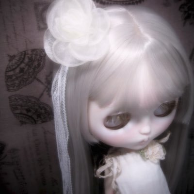 bok_to7's profile picture. 大阪