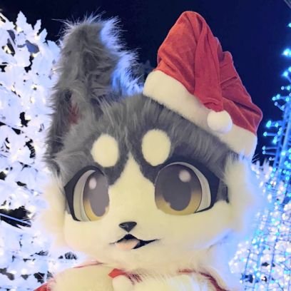 omochi_furryken's profile picture. おもち→チロル🐶のオーナー　、Furry研究会に所属

チロル🐶→お祭り犬で、食いしん坊。色んなポーズができるよ

インスタ→
https://t.co/nVCtjrpILH