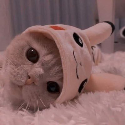 ibqwer's profile picture. #ออมวอแว