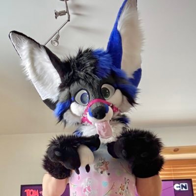 sky_foxy's profile picture. 💜 27y/o Male & Gay - A certain Fox - ABDL ACCOUNT🔞