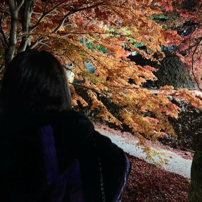 nanami_sutotan's profile picture. 06 (05) | ︎︎♀ | スト担 ❤️