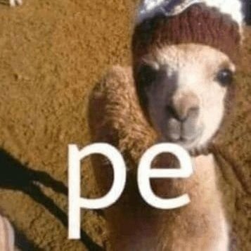 ArphoxMustDie's profile picture. She/It (shit. I'm a guy btw) | UNGEZIEFER | Certified autistic loser mf | Husband of my lovely wife @MintyFreshZzz 💞