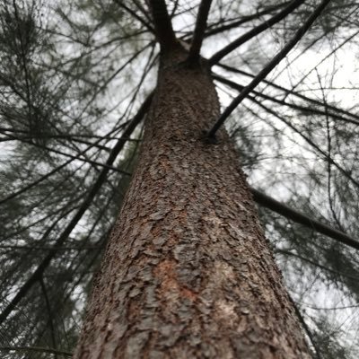 FelixM_Des's profile picture. Live a little | It's a Mindset Thing.