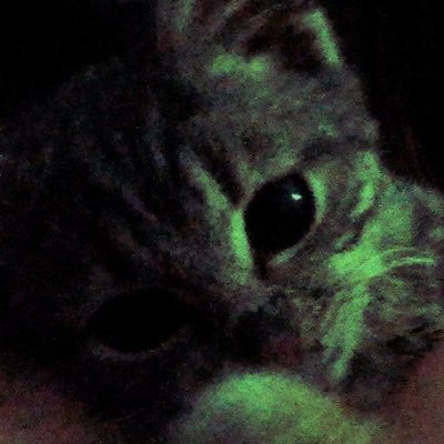 skeletobster's profile picture. haven’t seen the sun in awhile but i heard the sky’s still blue