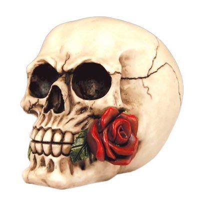 beverycareful1's profile picture. Independent Trump conservative MAGA 🚫Jab 🚫DMs🚫Democrats 🚫Sex bots 🚫Porn . 🇺🇸 Winning . I'm 51504GUNS