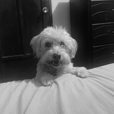 Alice10Garcia's profile picture. scorpio femme