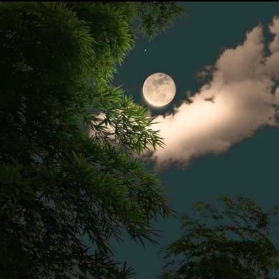 RadhaKisnaSoul's profile picture. 