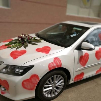 mmdmmd746816's profile picture. جاد واعشق المتعه الخرج احب الجاد ونظيف واعشق العمه والكلاب واعشق السوالب المتزوجين واعشق الديوث اهم شيء عندي السريه والكتمان