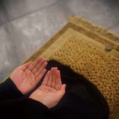 brosch0700's profile picture. وَلَا تَهِنُوا وَلَا تَحْزَنُوا ۖ وَأَنْتُمُ الْأَعْلَوْنَ إِن
 كُنتُم مُّؤْمِنِينَ