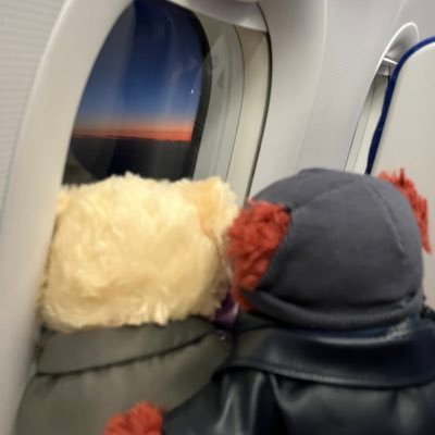 Canon_hime's profile picture. 成人済腐。伊達政宗公が好きです。悠来ちゃんを応援しています。攻撃的ツイの多い方、趣味が合わないかなぁと思われる方はごめんなさいさせていただく事がございます…。👹滅は🔥さん推し！🔥家箱推し！ゲ謎は👁️🪨👹💦箱推し！🕵️は赤井、安室推し。テデ活始めました🐻🐻‍❄️😽