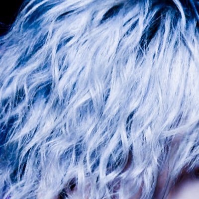 CyanosRe's profile picture. ニートです。