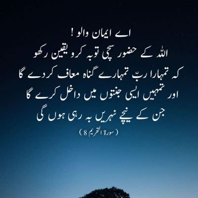 mianyasir83's profile picture. Business & Politics