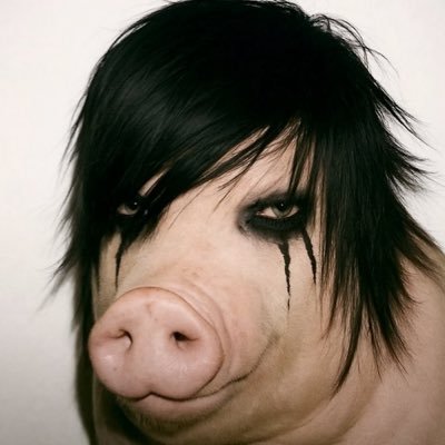 cluelesswiiuser's profile picture. 