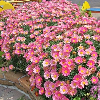 be3Mk7aCPPwWUpc's profile picture. 