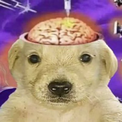 w3irdgrrrI's profile picture. let’s hope critical thinking is the next pandemic