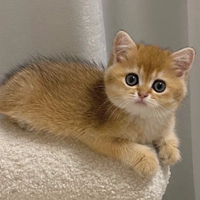 A_SilentVoyager's profile picture. I stroll through the flow of time, and each journey is a gift from time itself😉