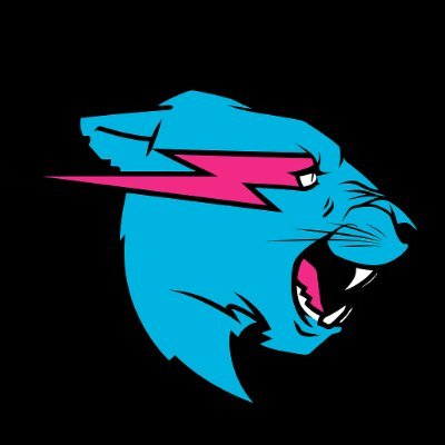 MrBeastFi's profile picture. 