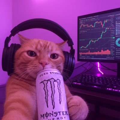 harsh1900h's profile picture. Aspiring Web3 dev | learningwith intention and patience | Manifesting long-term wins