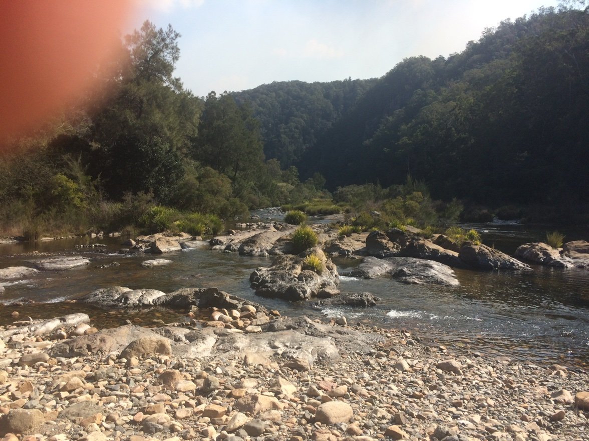 ARCONAUGHT's profile picture. is any of it real 🤔