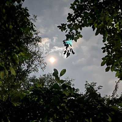 procap07's profile picture. 부정적인상황에서 긍정적으로 반항하라! 이름값하자! 꼴값하자! 감사하자! 사랑하자!