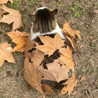 A_WanderWonder's profile picture. Whether it's getting lost in a new city or enjoying a quiet moment by the sea, I’m always seeking the next adventure