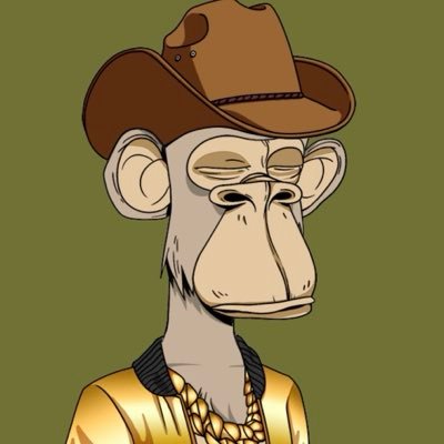 mrjonkane's profile picture. Discover the narrative. Communicate with purpose. Build value in the digital renaissance | Bored “Nugget” Ape 8956 | mrjonkane.eth
