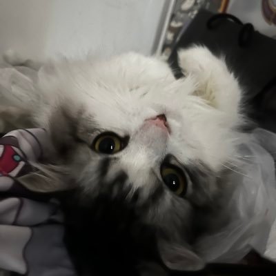 SOAPwu's profile picture. 人生短いから、もっと色々楽しもうよ