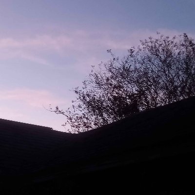 FiggyCat25's profile picture. 19 y/o