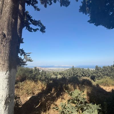 hagiqg71593's profile picture. 