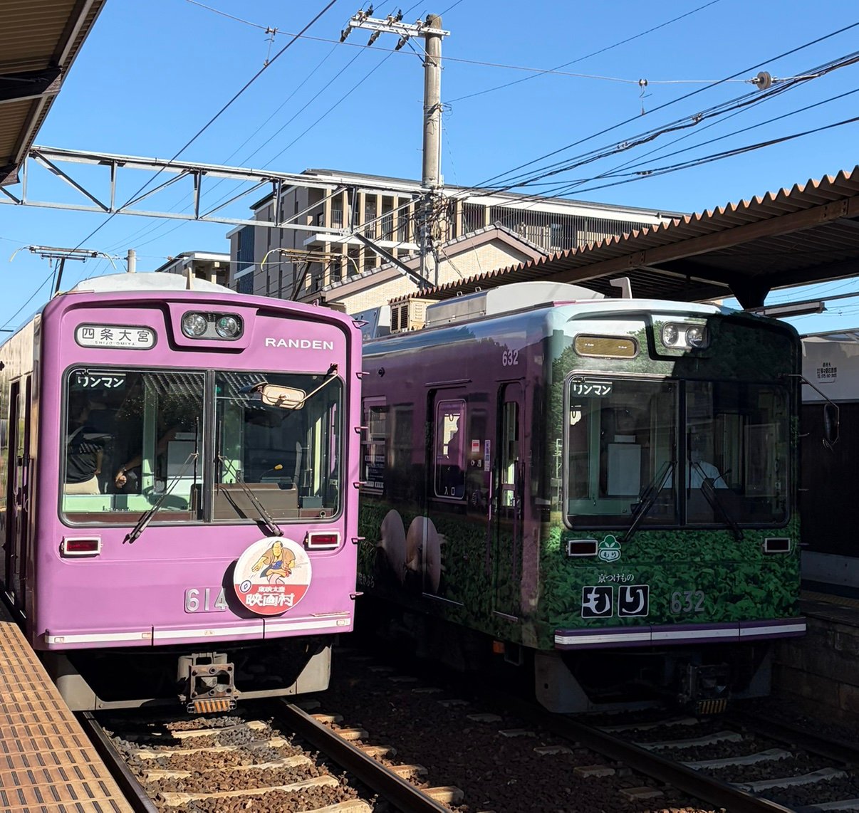 Randenmmbm632's profile picture. 