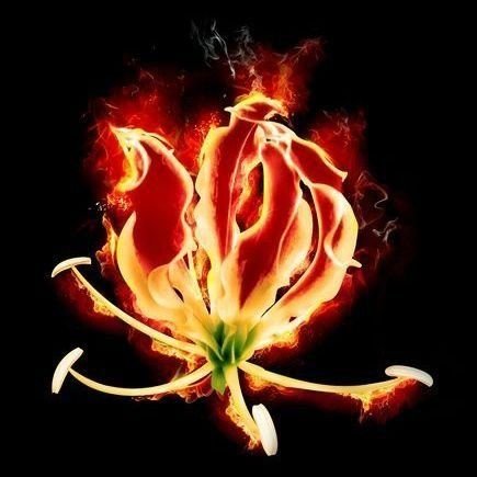 BalaBala1443266's profile picture. 