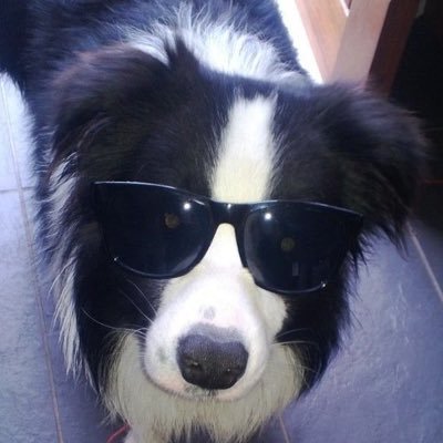 3756K0T's profile picture. cliff | he/they | 21 | #darkwoke