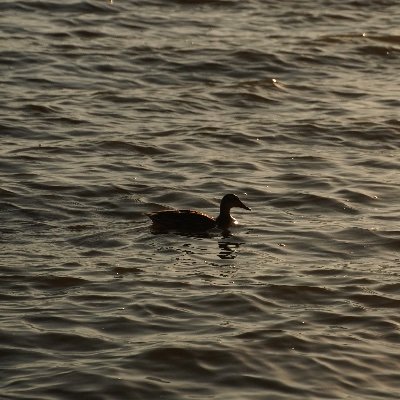 UniqueTallGuy's profile picture. 18(07) I have vieny(ish) hands 🤷‍♂️