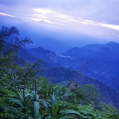 d492551's profile picture. 