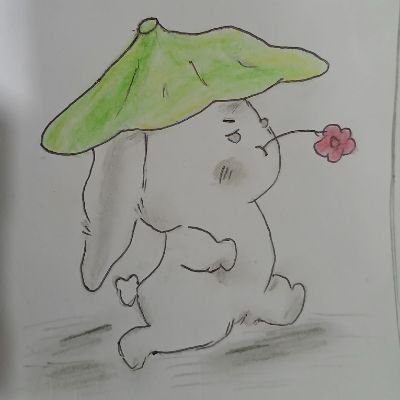 winwinwinwinyx's profile picture. app premium