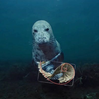 dantenitlover60's profile picture. biography