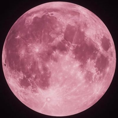 engenecrimina11's profile picture. ONLY ENGENE❤️🚩JANUARY ENHYPEN COMEBACK🎊