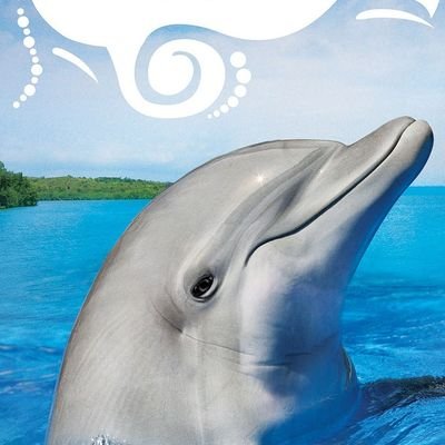 purplepotato_tw's profile picture. Money is meant to be fungible