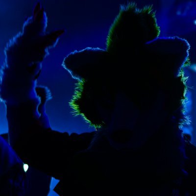 allgoustaozo's profile picture. どこかにいるケモナーの裏（肌色）垢 🔞（有） べとヴェの中の人　鍵相互 持出し禁止